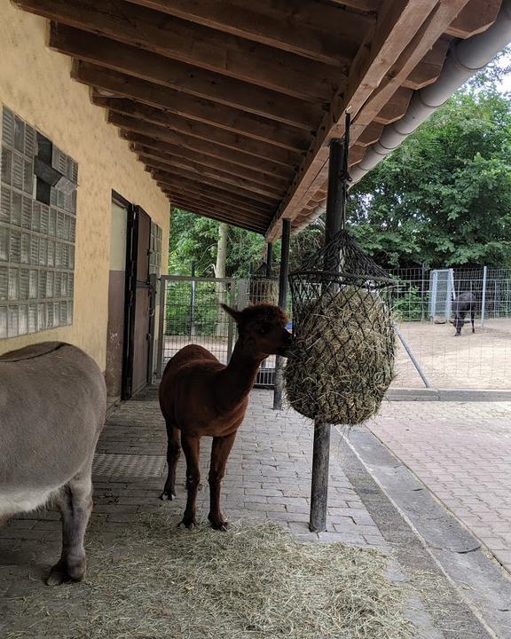 Tierpark Fauna